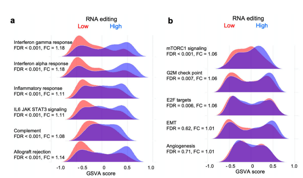 如何做肿瘤免疫微环境的研究?这篇文章会告诉你!